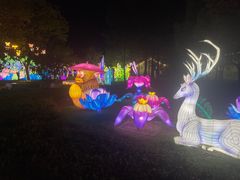 -长兴太湖图影湿地文化园