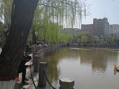 -文瀛公园