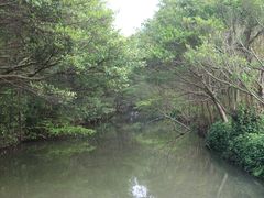 -大湾区中央湿地公园