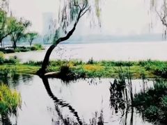 -渤公岛生态公园