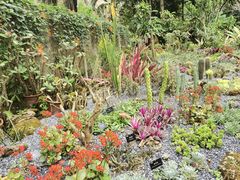 -中国科学院西双版纳热带植物园