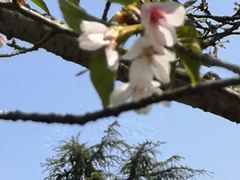 -蕃茄田艺术•美术绘画 •硬笔书法(滨江海威领界店)