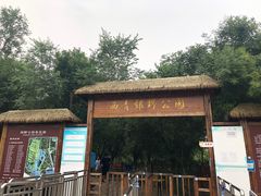 -西青郊野公园