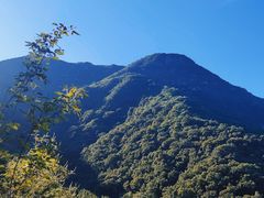 -阳台山自然风景区