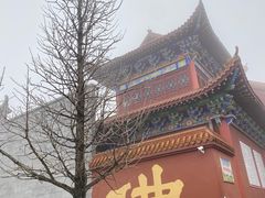 -长沙黑麋峰国家森林公园
