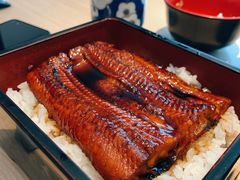 蒲烧鳗鱼饭套餐-小山日本料理(电子大厦店)