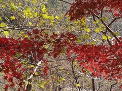 -崂山巨峰游览区