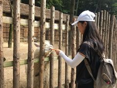 -洛阳白云山景区