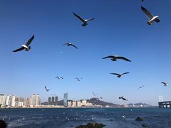 -黑石礁公园