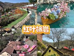 -淄博花灯齐彩城