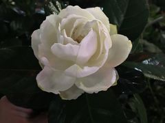 -湖南人家·家传湖南菜(水围店)
