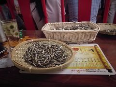 瓜子-德云社(三里屯店)