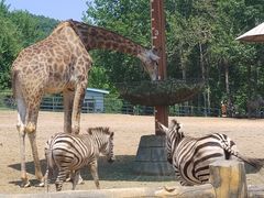 -大连森林动物园