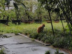 -成都杜甫草堂博物馆