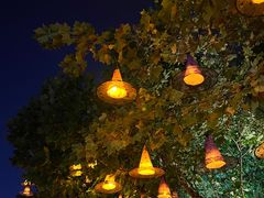 -郑州方特梦幻王国