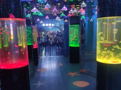 -沙沙哗啦海洋馆(华宇百花谷店)