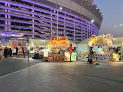 -海心沙亚运公园