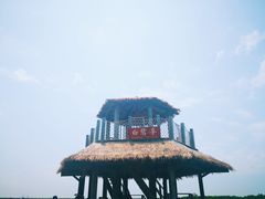 -北海金海湾红树林生态旅游区