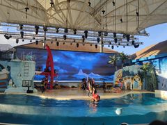 -三亚海昌梦幻海洋不夜城