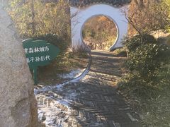 -竹子庵公园