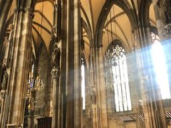 -斯蒂芬主教座堂(Stephansdom)