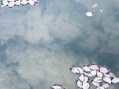 -南京市民俗博物馆(甘熙故居)
