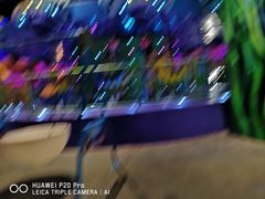-青岛嘉年华主题乐园