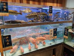 -虾饺妹·酒家(海珠广场店)