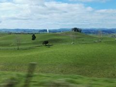 -怀托摩萤火虫洞