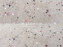 -青岛沙子口国家中心渔港