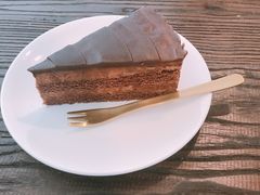 -有猫主题·治愈系猫咖(曾厝垵店)