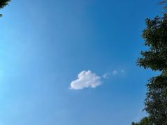 -金海湾滨江公园