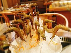 -尚海豆捞(乐虹坊店)