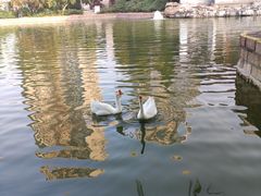 -团结湖公园