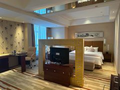 -电谷雅阁国际大酒店