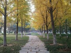 -永定门公园