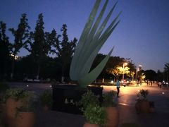 -白塘生态植物园