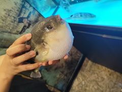 -肆月河豚·淮扬菜·湘菜(华天店)