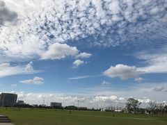 -上海滴水湖皇冠假日酒店