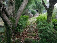 -莲峰云海景区