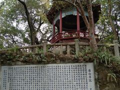 -乌山风景区