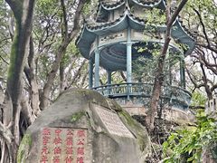 -乌山风景区