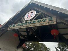 -上海海湾国家森林公园