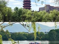 -长兴太湖图影湿地文化园