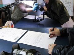 -兰拓相机租赁·维修·二手(上海店)
