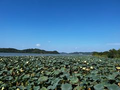 -东钱湖旅游度假区