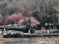 -太子山公园(园东路)