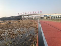 -西安浐灞国家湿地公园
