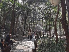 -北高峰