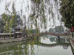-温江公园